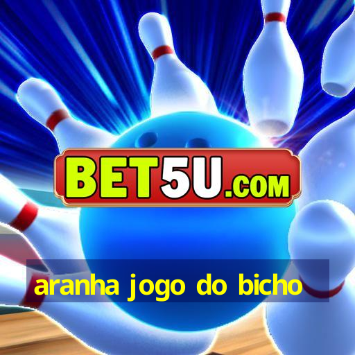 aranha jogo do bicho